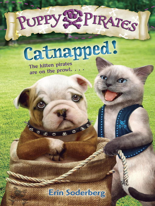 Title details for Catnapped! by Erin Soderberg - Available